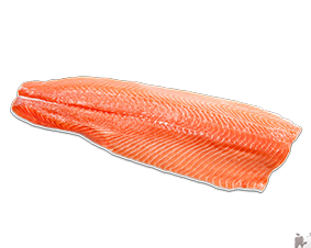 Cá hồi tươi fillet- Fresh Salmon fillet